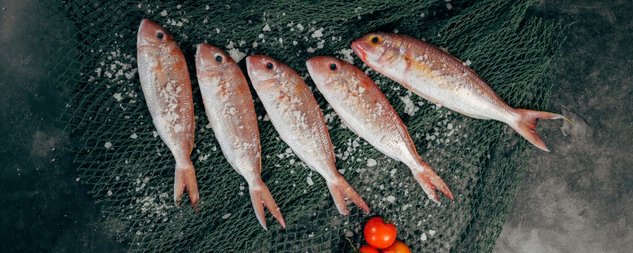 Five salted, raw fish on a slate.